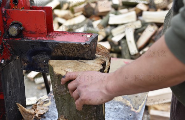 Worker making firewood with a log splitter