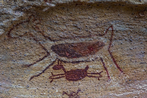 Rock art painting at Pedra Furada