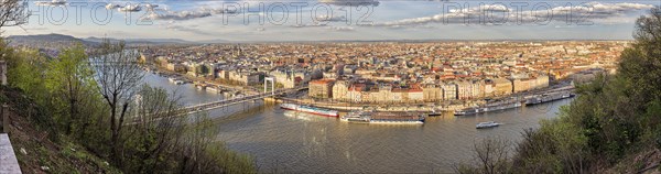 Elisabeth Bridge