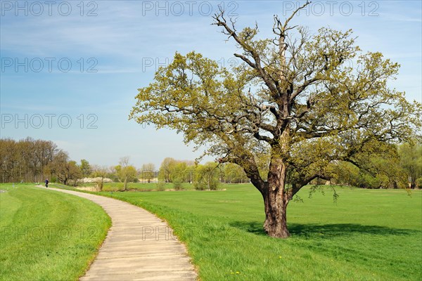 Bumpy cycle path on a dyke