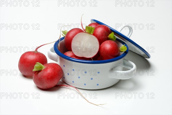 Radish