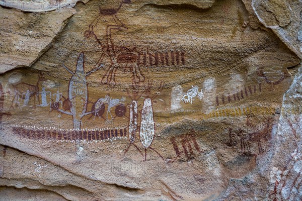 Rock art painting at Pedra Furada