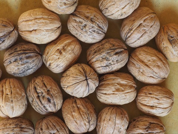 Walnut fruit food background