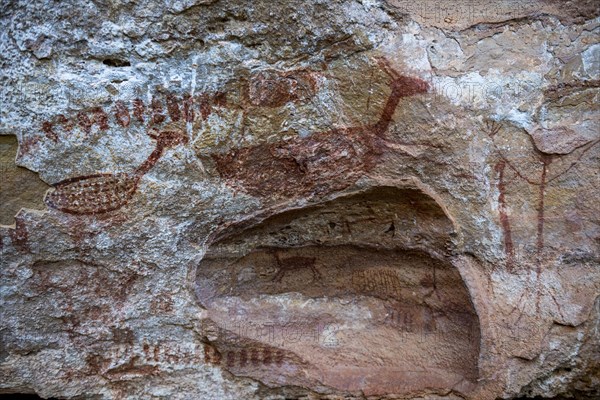 Rock art painting at Pedra Furada