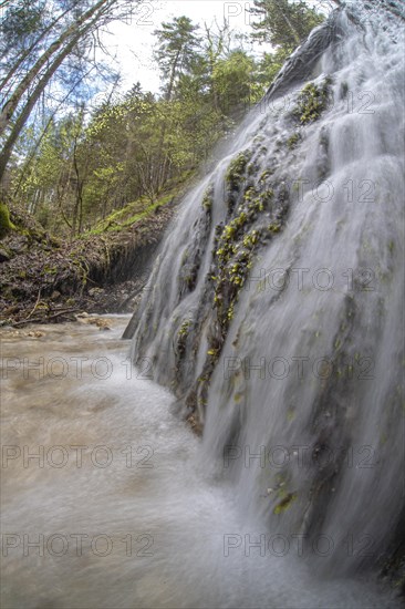 Forest stream with waterfall in the UNESCO World Heritage Beech Forest in the Limestone Alps National Park