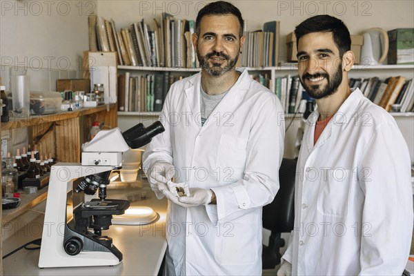 Two scientists studying dried mushroom material under the microscope in the laboratory. Teamwork. Research projects