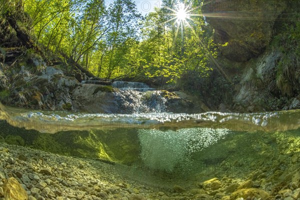 Underwater photo in a mountain stream in the Kalkalpen National Park