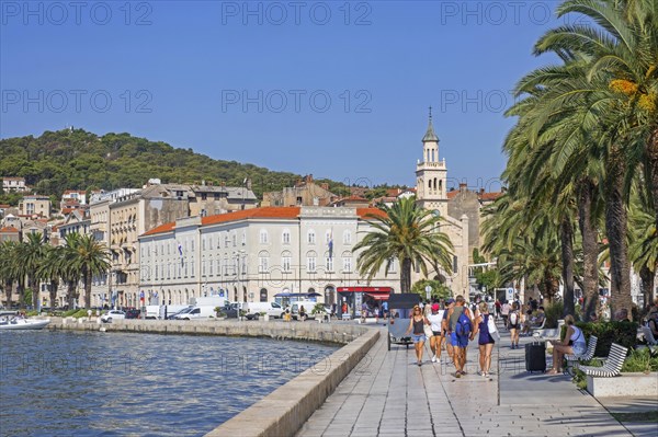 Franciscan church and monastery of St. Francis and boulevard with palm trees at waterfront of the city Split