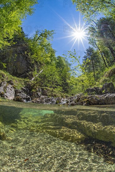 Underwater photo in a mountain stream in the Kalkalpen National Park