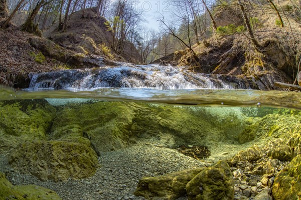 Underwater photo in a mountain stream in the Kalkalpen National Park