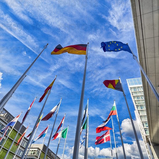 European Parliament