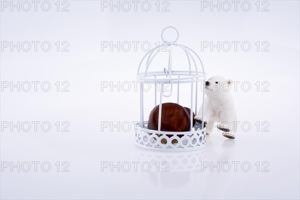 Little notebook placed in a red color bird house with metal bars