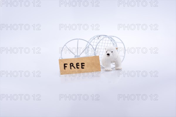 Polar bear cage open to freedom on white background