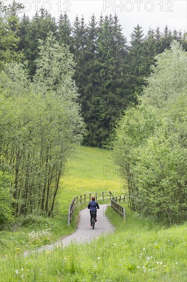Cyclist riding on cycle path through meadow in a forest with bridge