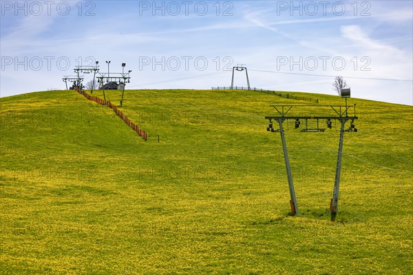 Spring meadow with snow fence