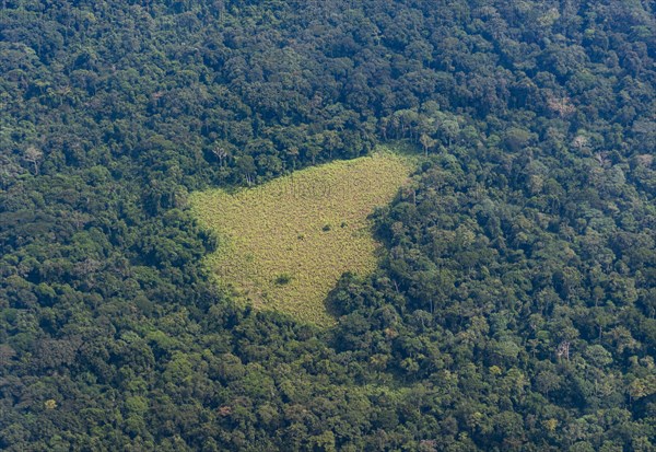Aerial of the jungle around Kisangani