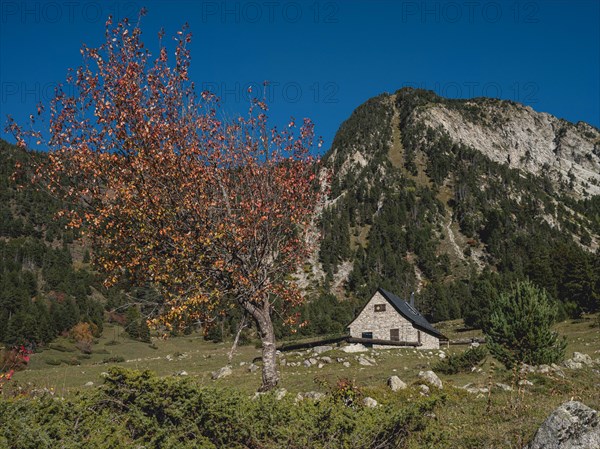 Pyrenees holiday cottage