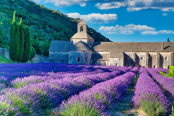 Cistercian Abbey Abbaye Notre-Dame de Senanque