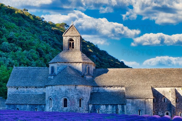 Cistercian Abbey Abbaye Notre-Dame de Senanque