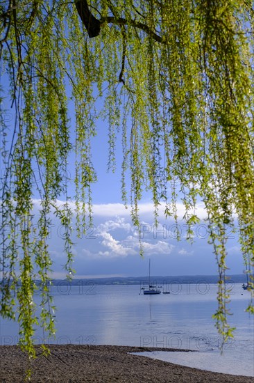 On the lakeside promenade