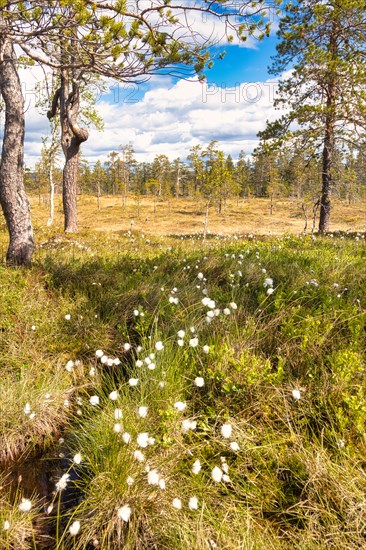 Fulufjaellet National Park