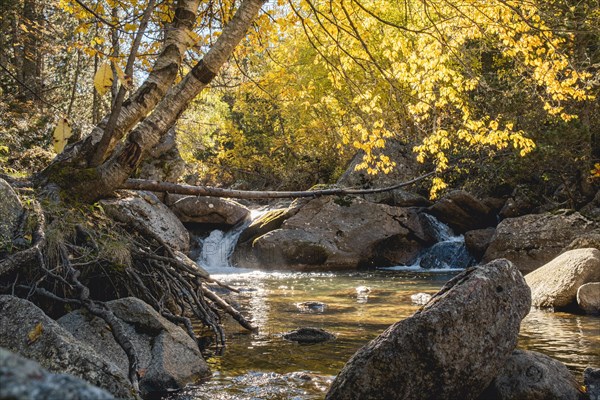 Small waterfall