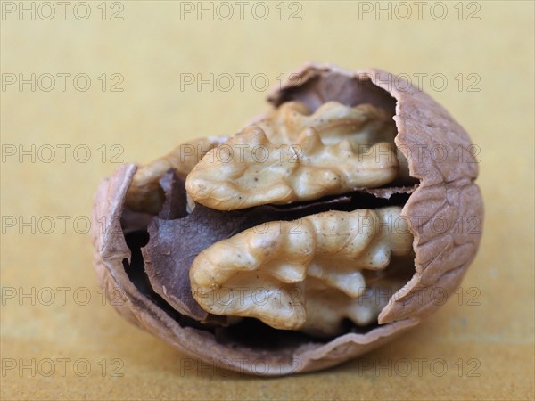 Walnut fruit food