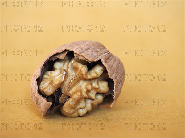 Walnut fruit food