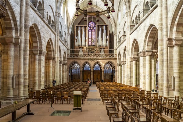 Interior and organ of the Basel Minster in Basel