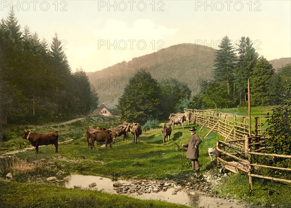 The forester's lodge in Bad Lauterberg in Harz