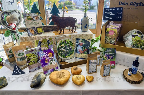 Souvenirs and books in the museum shop