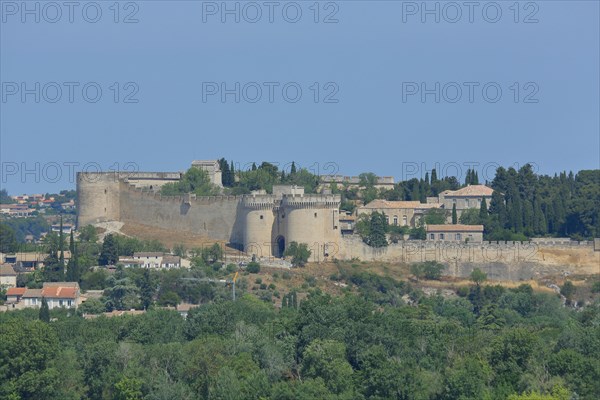 View from Rocher des Doms on historic Fort Saint-André with defence towers