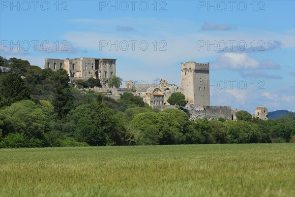 View of Romanesque monastery with tower Abbaye de Montmajour on the mountain