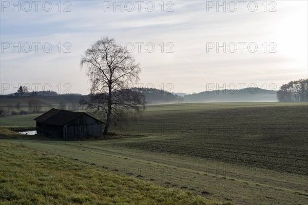 Morning breaks over an outhouse beside an isolated tree in Upper Franconia