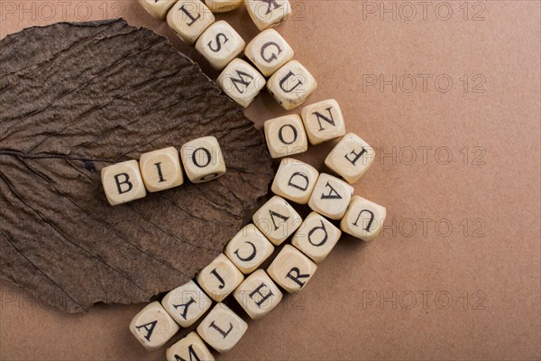 Letter cubes of made of wood around dry leaf