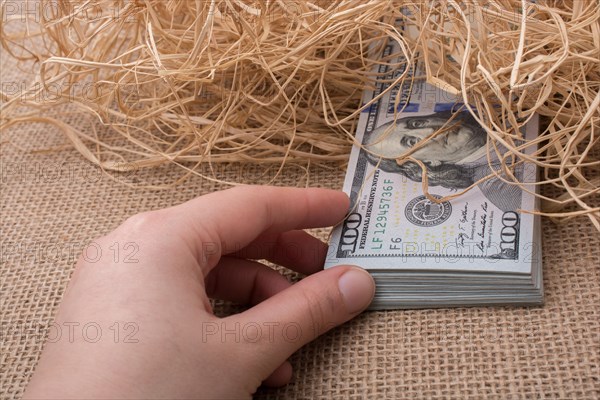 Banknote bundle of US dollar in a straw pile on canvas