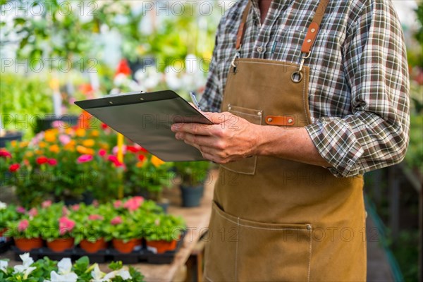 Gardener or florist man working in a nursery inside the greenhouse of plants and flowers