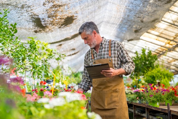 Gardener or florist working in a nursery inside the flower greenhouse