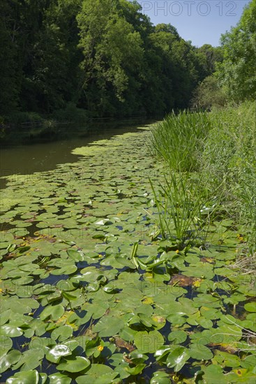 River party on the Jagst