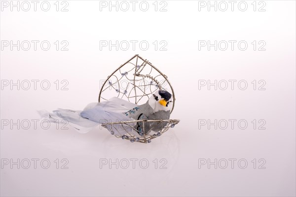 Bird in a birdcage