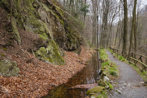 Path through the Radau Valley