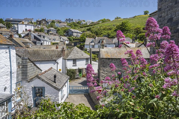 Historic village centre of Port Isaac with 18th and 19th century cottages