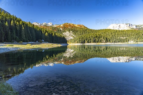 The Black Lake or Crno jezero