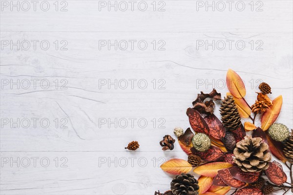 Multicoloured bunch leaves