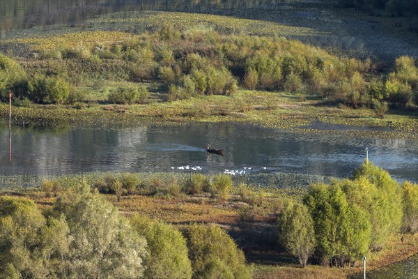 Boat on the river Crnojevic near Rijeka Crnojevica