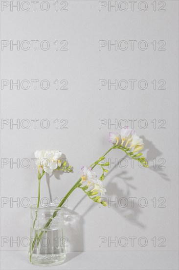 Blossom flowers vase table 9