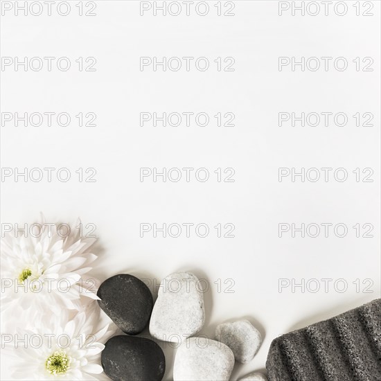 White flowers la stones pumice stone isolated white background