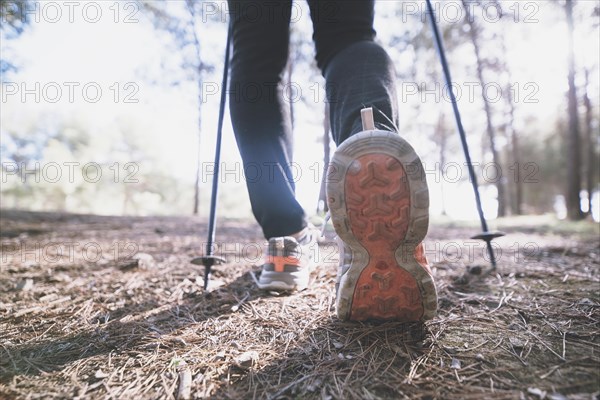 Crop legs walking forest