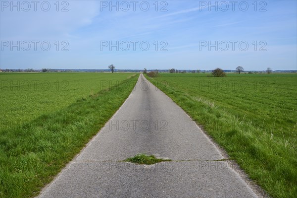 Field path