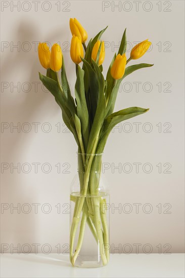 Front view bouquet tulips vase